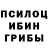 Галлюциногенные грибы мухоморы Kargina Olga