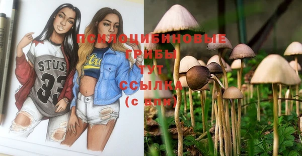 герыч Куйбышев