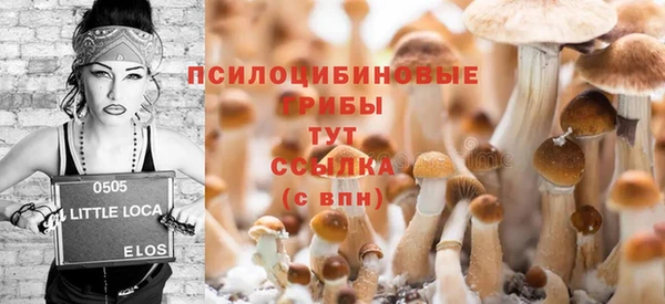 скорость Кукмор